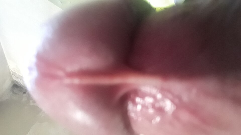 20240820_064015.jpg - 11igor11