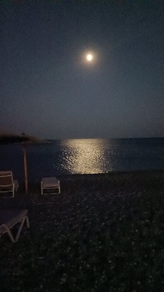 IMG-20240816-WA0010.jpeg - delis69