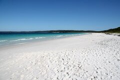 IMG_8168.jpeg