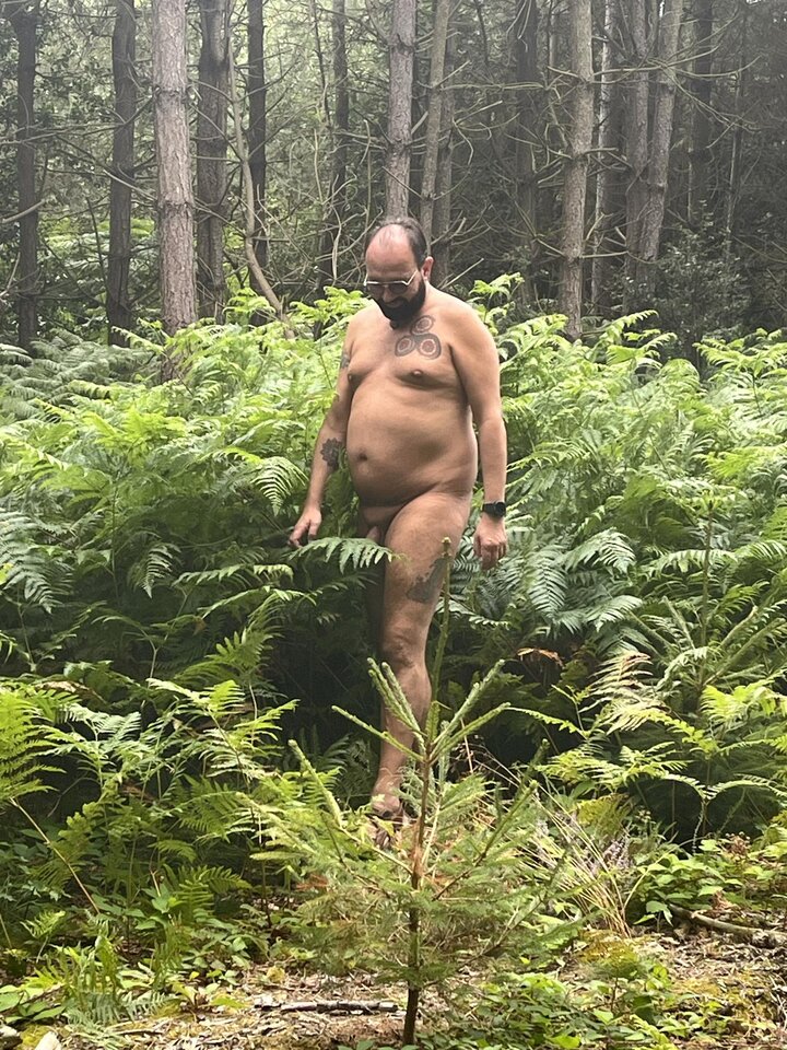 1000012565.jpg - jlc