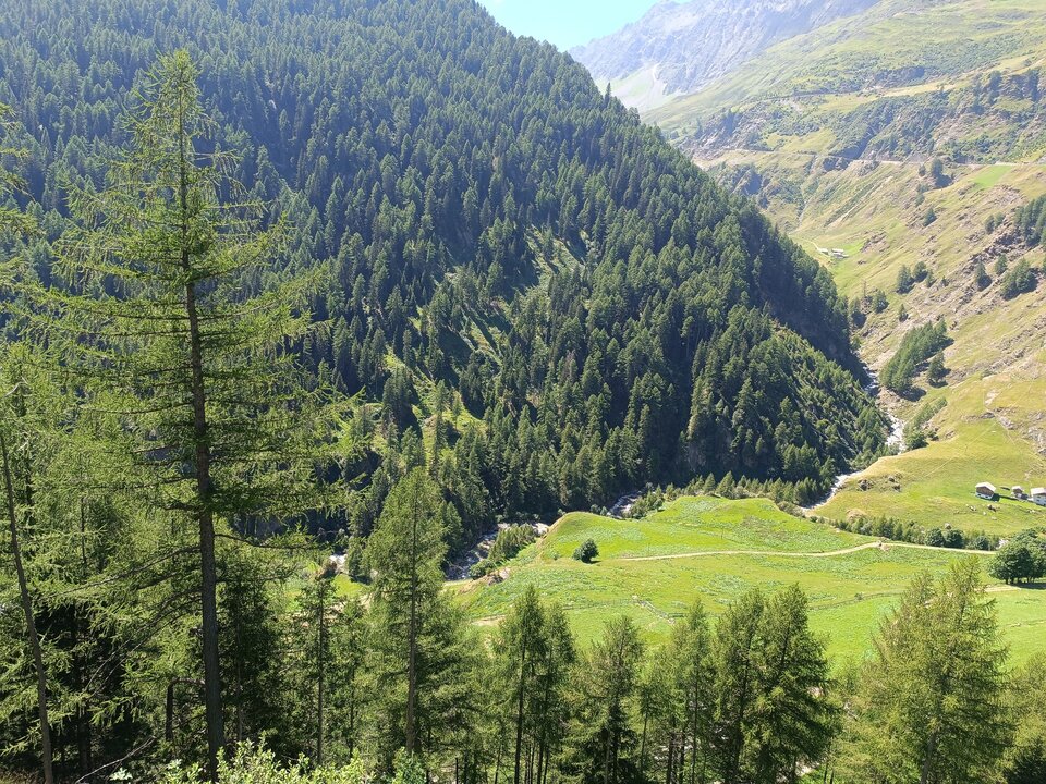 1000010790.jpg - NieSUBordynacja_Landsil