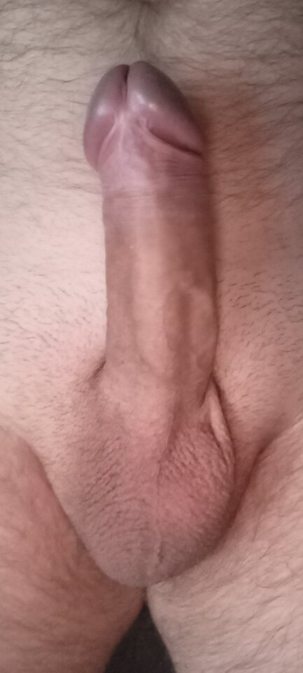 1000004163.jpg - andreas222