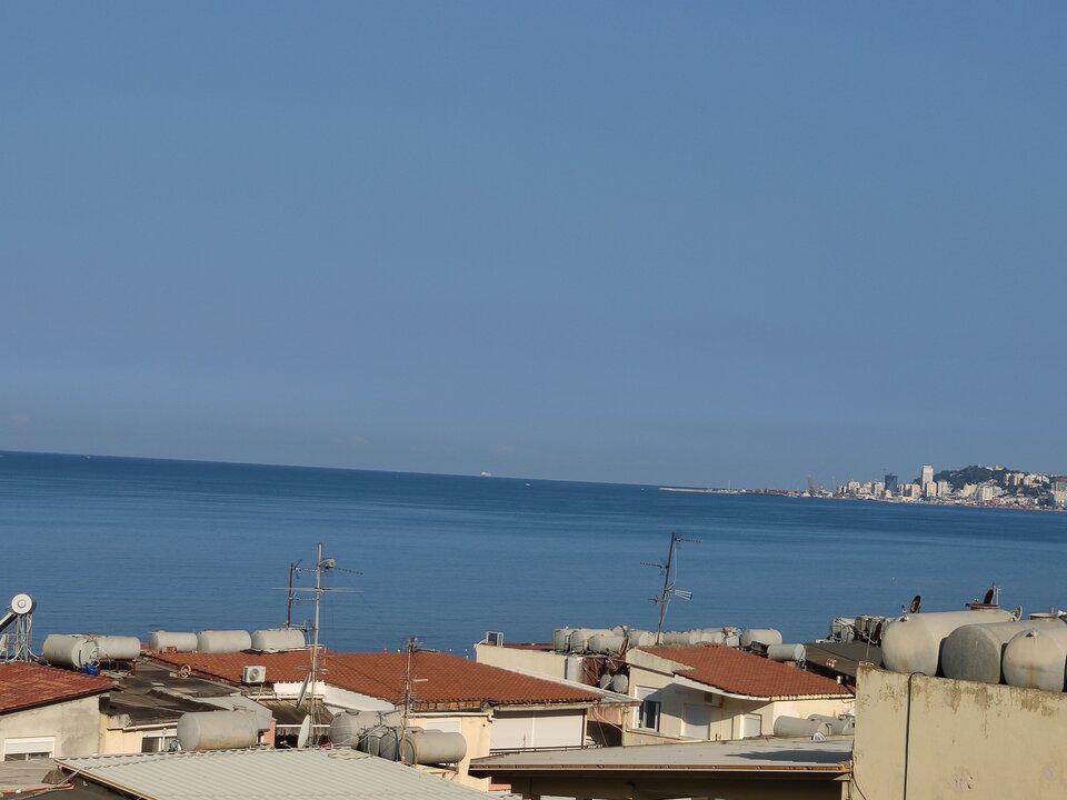 IMG_20240821_080341.jpg - 45parunia