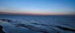 IMG_20240820_205736.jpg