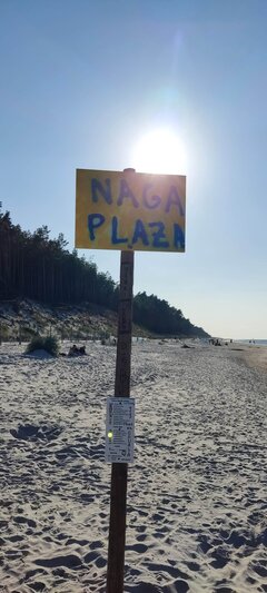 IMG_20240820_172057.jpg