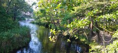 IMG_20240820_171140.jpg
