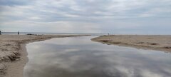 IMG_20240821_095219.jpg