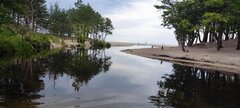 IMG_20240821_094846.jpg