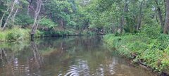 IMG_20240821_094857.jpg