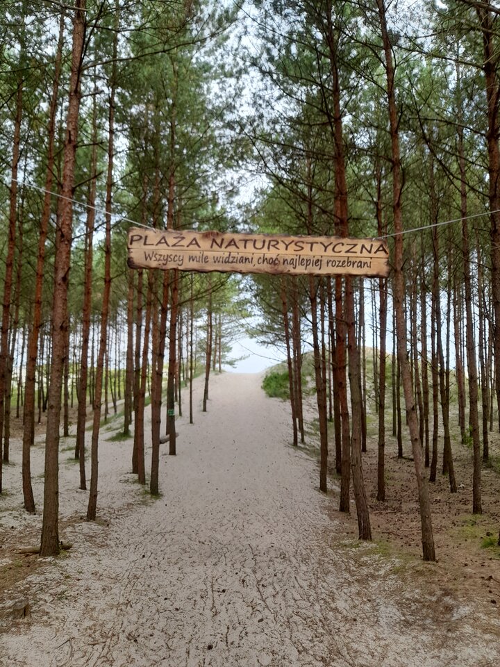 20240821_100447.jpg - onelove93