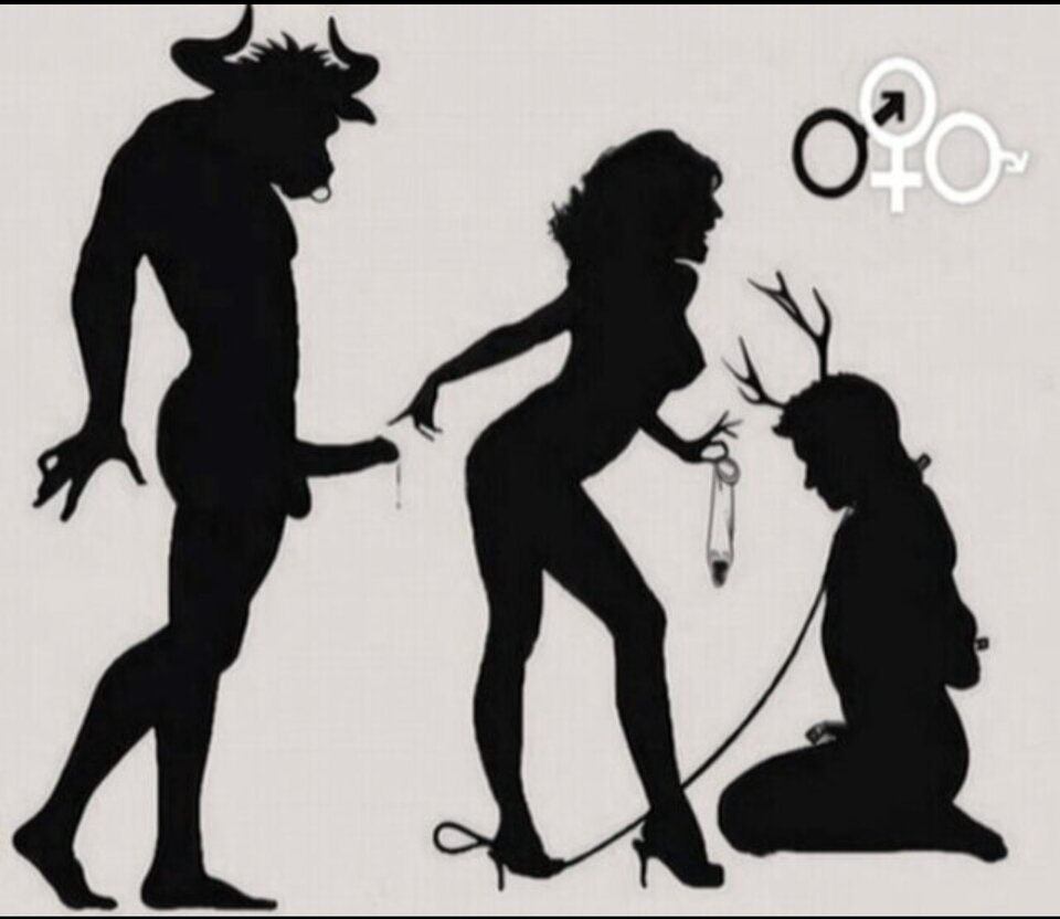 IMG_20240821_152708.jpg - spacja