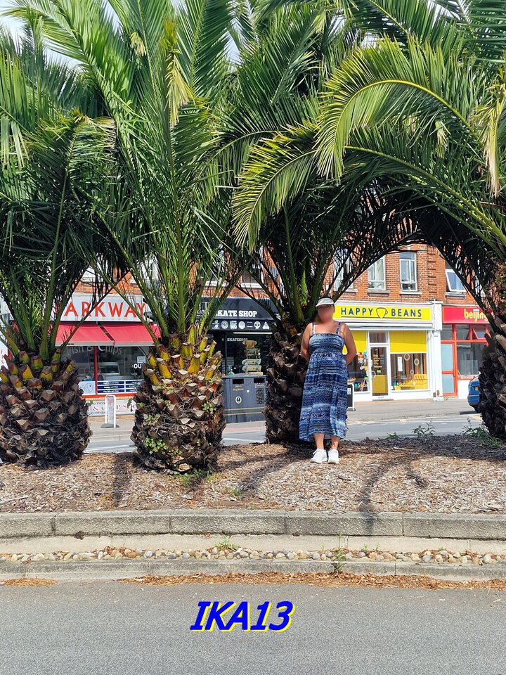 20240821_124128.jpg - ika13