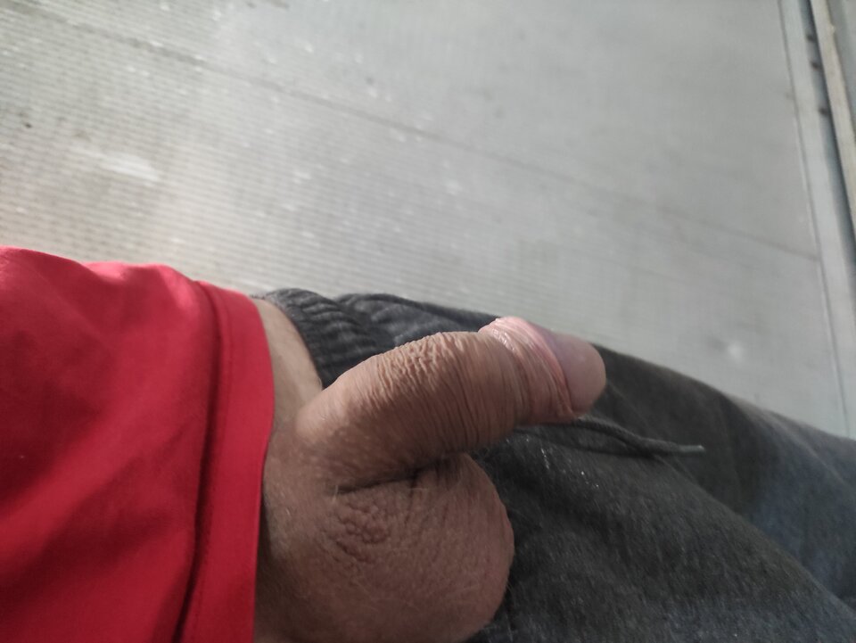 IMG_20240814_063439.jpg - Adamadam1978