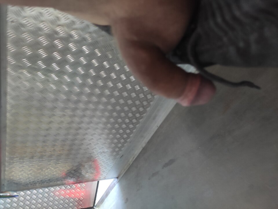 IMG_20240814_063426.jpg - Adamadam1978