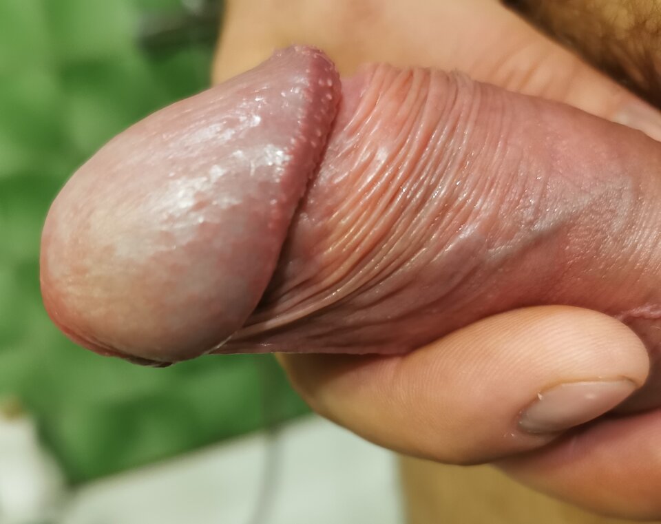 IMG_20240822_065126_edit_883965905621364.jpg - majo82