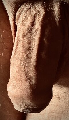 IMG_1225.jpeg