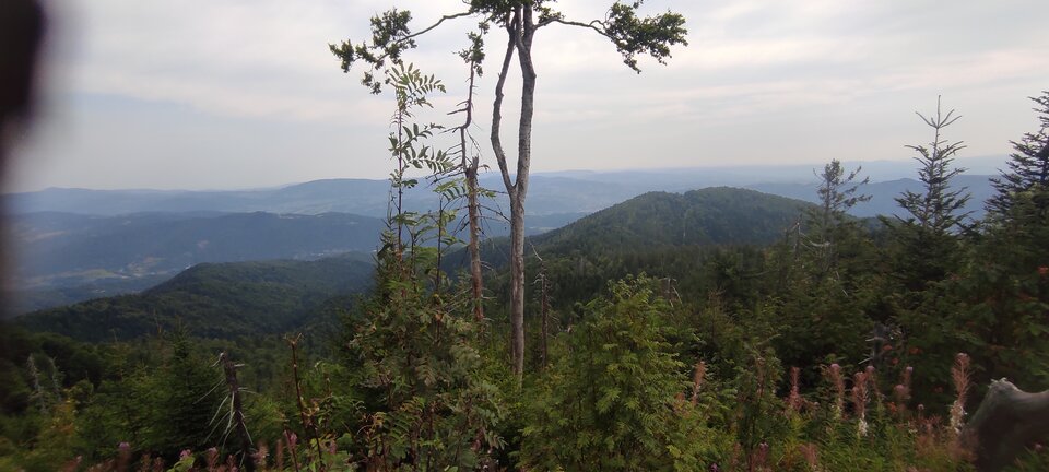 IMG_20240815_091414.jpg - NicponieFest