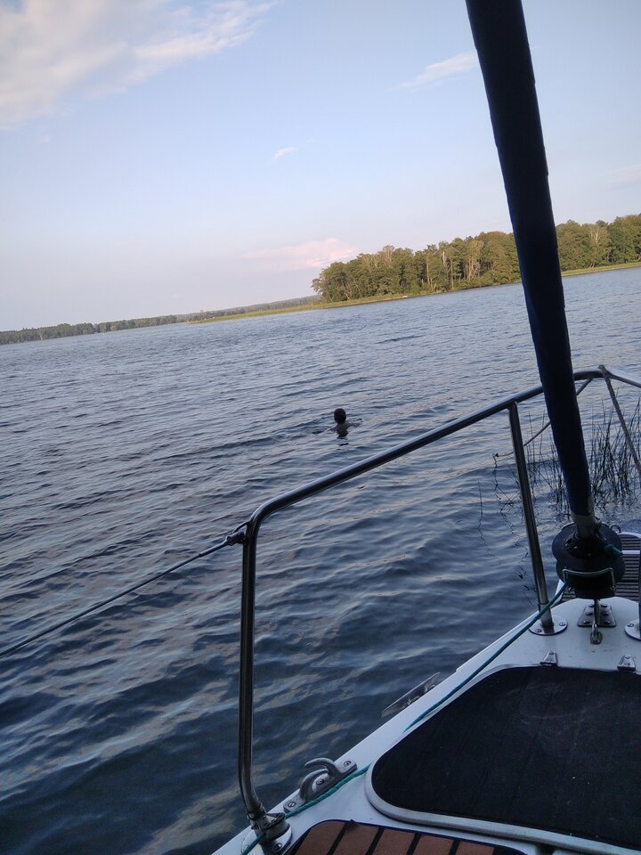 IMG_20240817_182447_1.jpg - kocuraaa123445