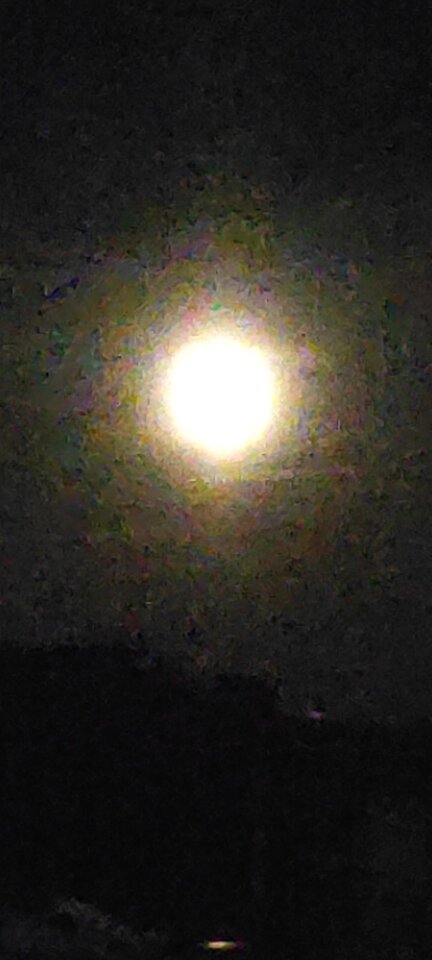 IMG_20240823_220629.jpg - NicponieFest