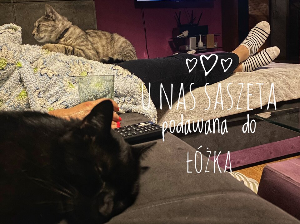 🤣🥃🎂 - serialowapara19782