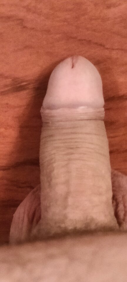 IMG20240824005643.jpg - dorkaija