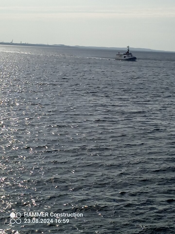 IMG_20240823_165920_064.jpg - ostryduet