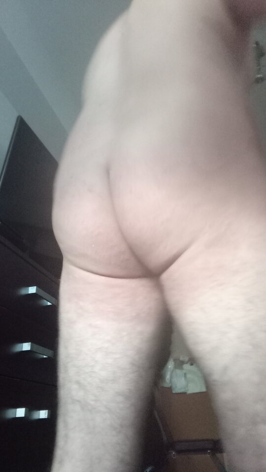 IMG_20240824_060708.jpg - Misiek78Zs