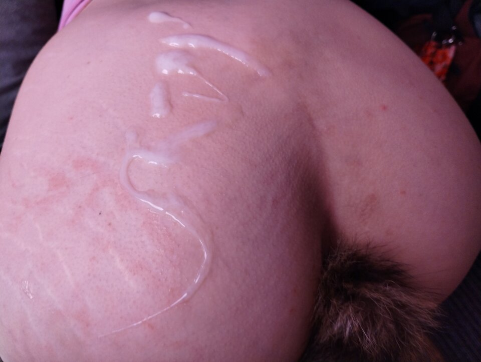 IMG_20240824_110317860.jpg - paraSc95