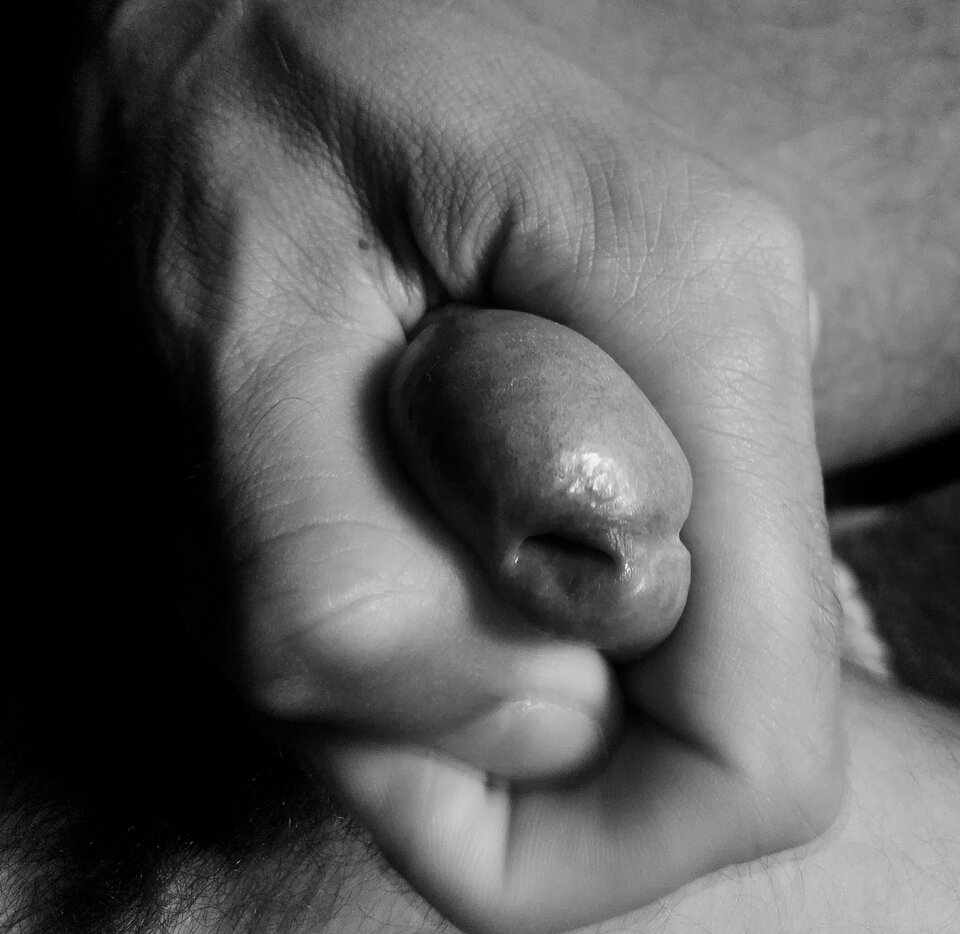 IMG_20240824_122807.jpg - Mozeteraz91