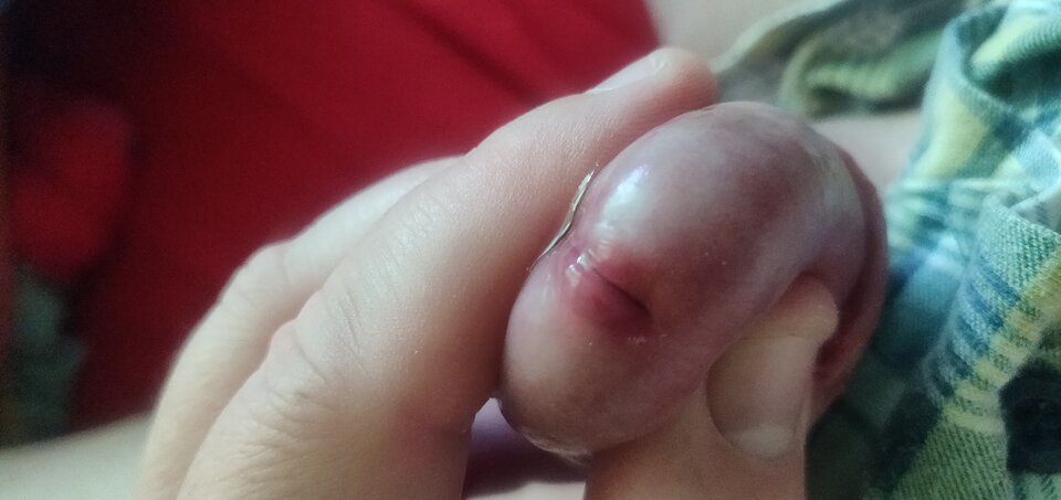 IMG_20240824_130630.jpg - fajnykutasek25