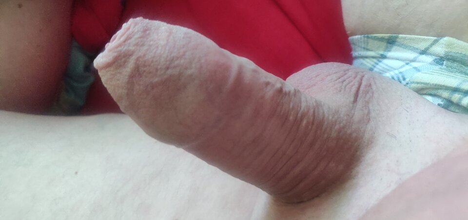 IMG_20240824_130614.jpg - fajnykutasek25