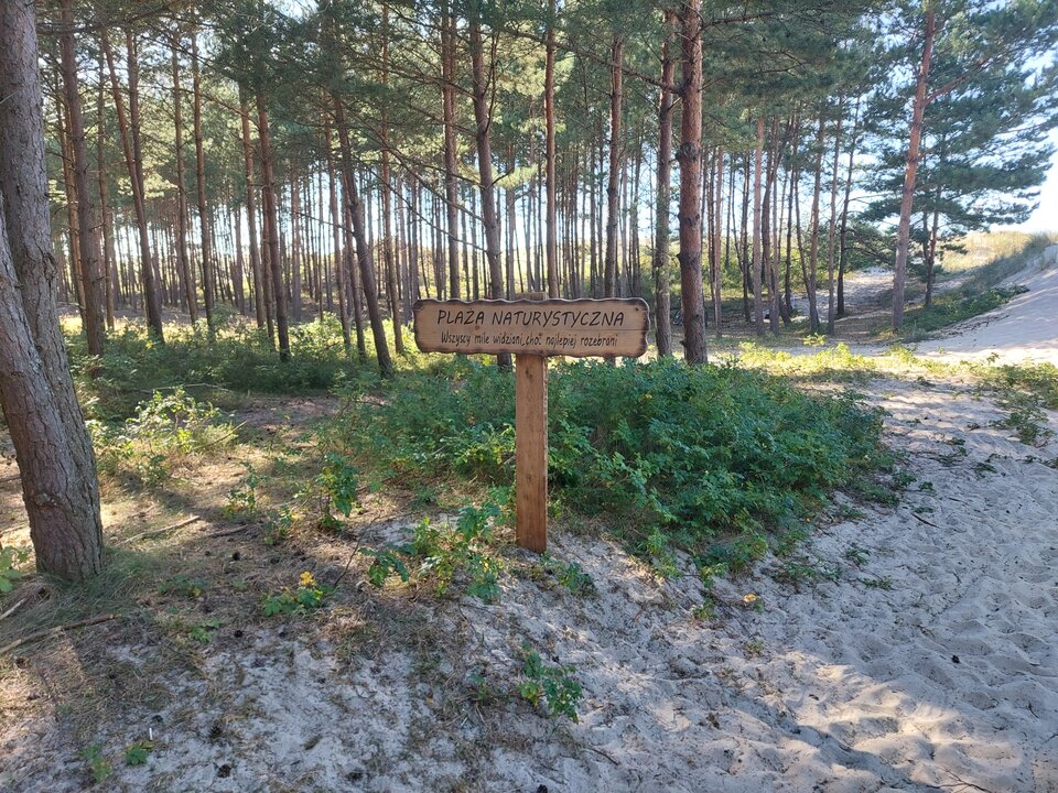 1000007790.jpg - adrian1112