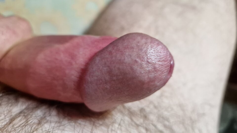 1000027202.jpg - RYSIO666