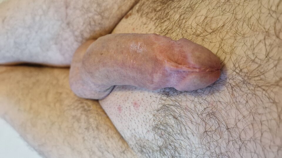 20240708_201035.jpg - RYSIO666