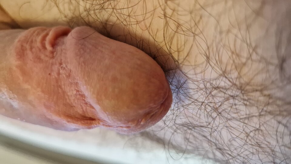 20240708_201050.jpg - RYSIO666