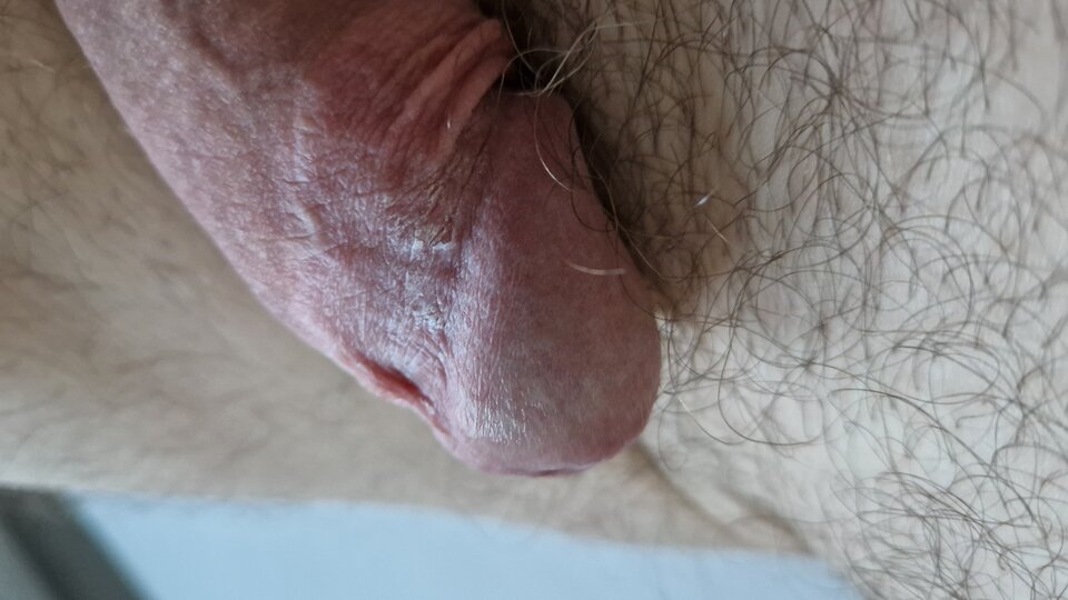 20240619_204234.jpg - RYSIO666