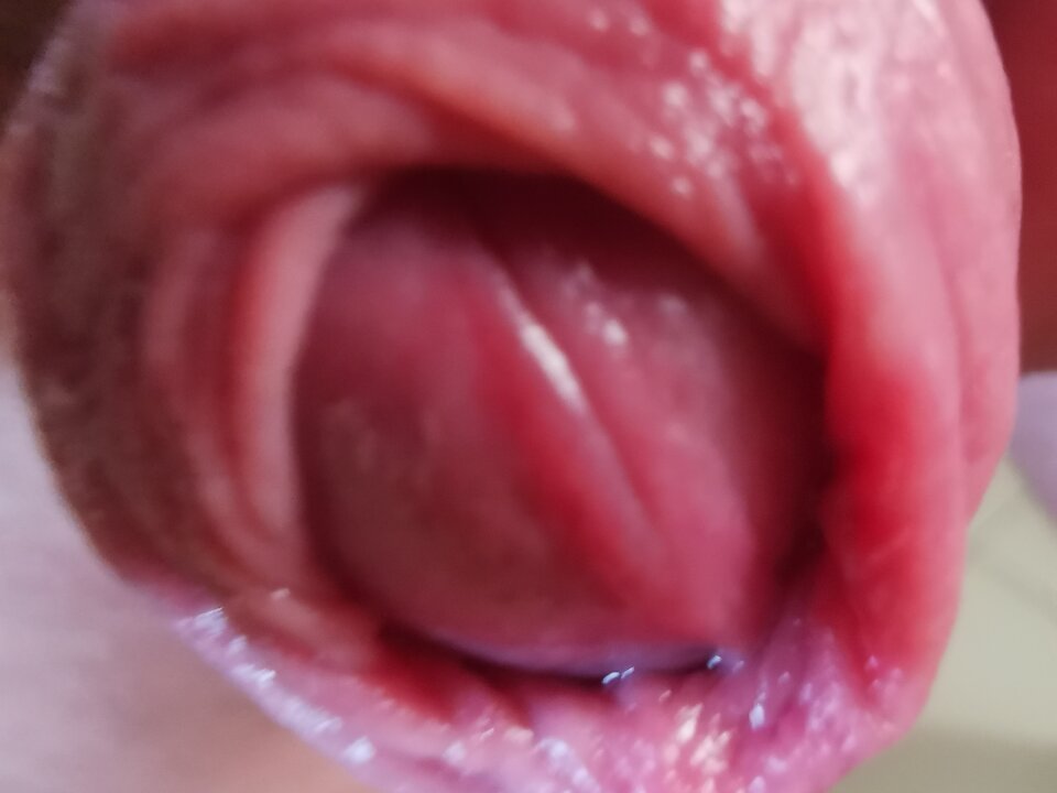 IMG_20240825_065515.jpg - Zi0001