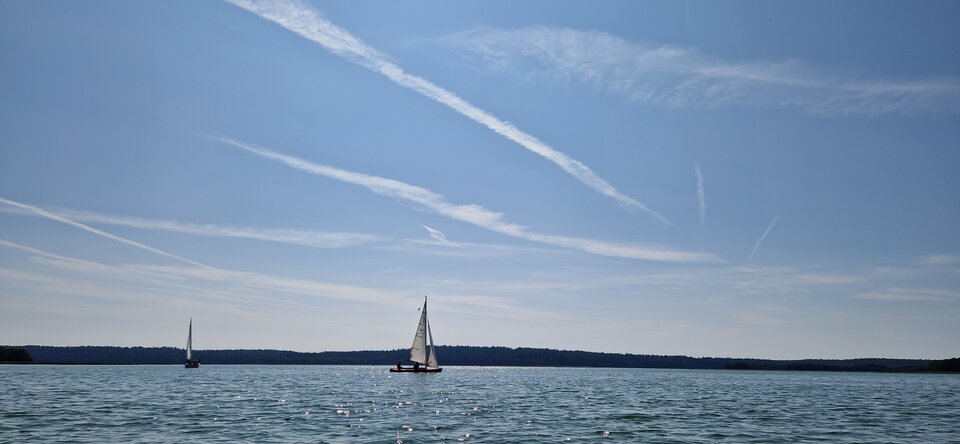 1000012847.jpg - DzikiDzikus1987