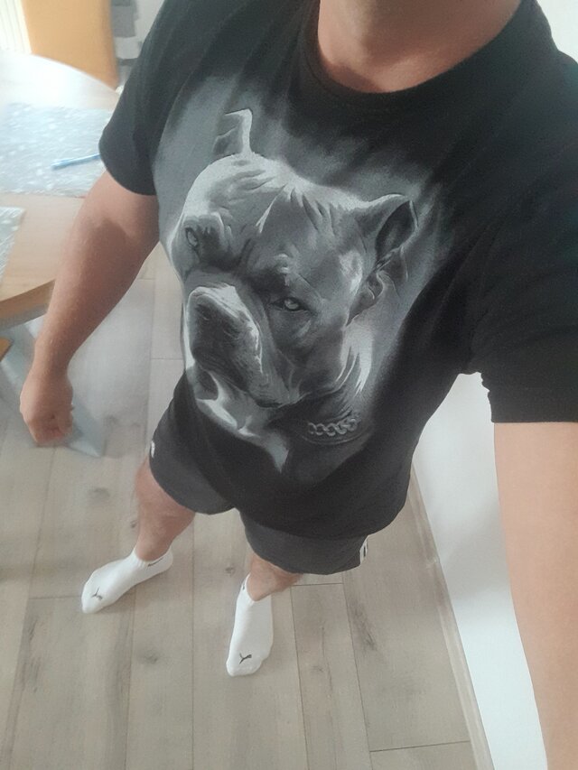 Krejzj
