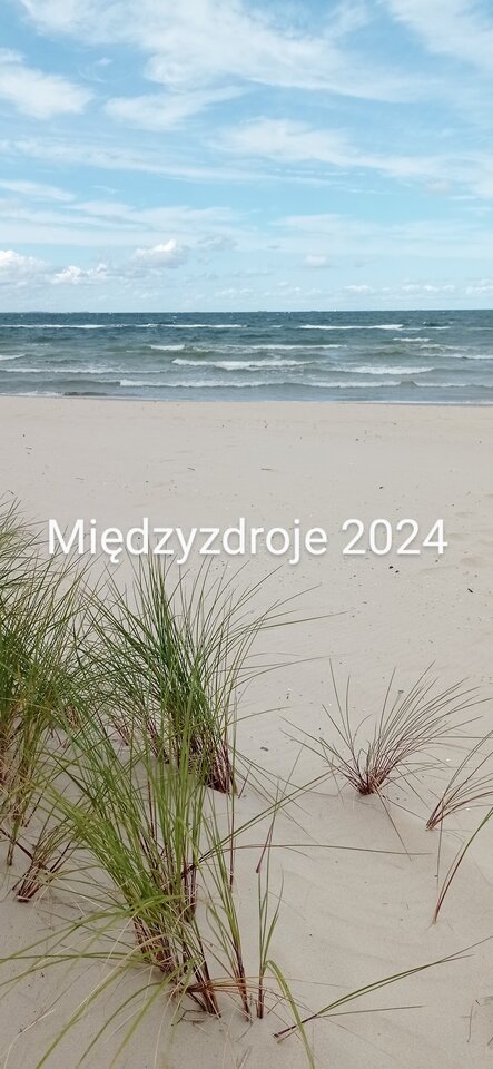 IMG_20240825_130613~2.jpg - Ravens80