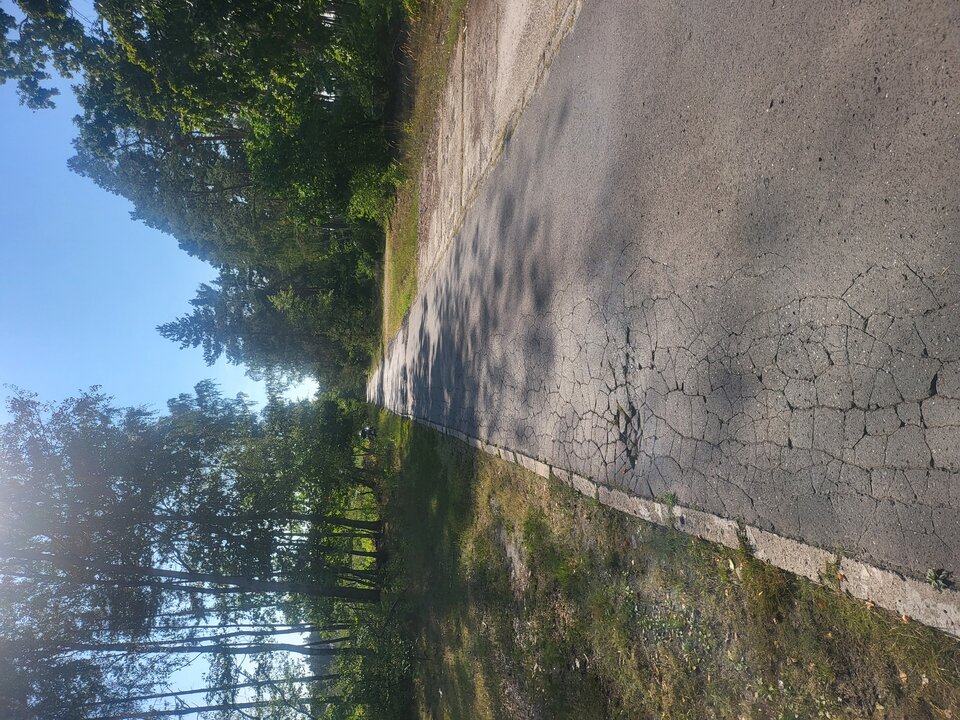 17245911305083930027784559762925.jpg - NaturysciMotocyklysci