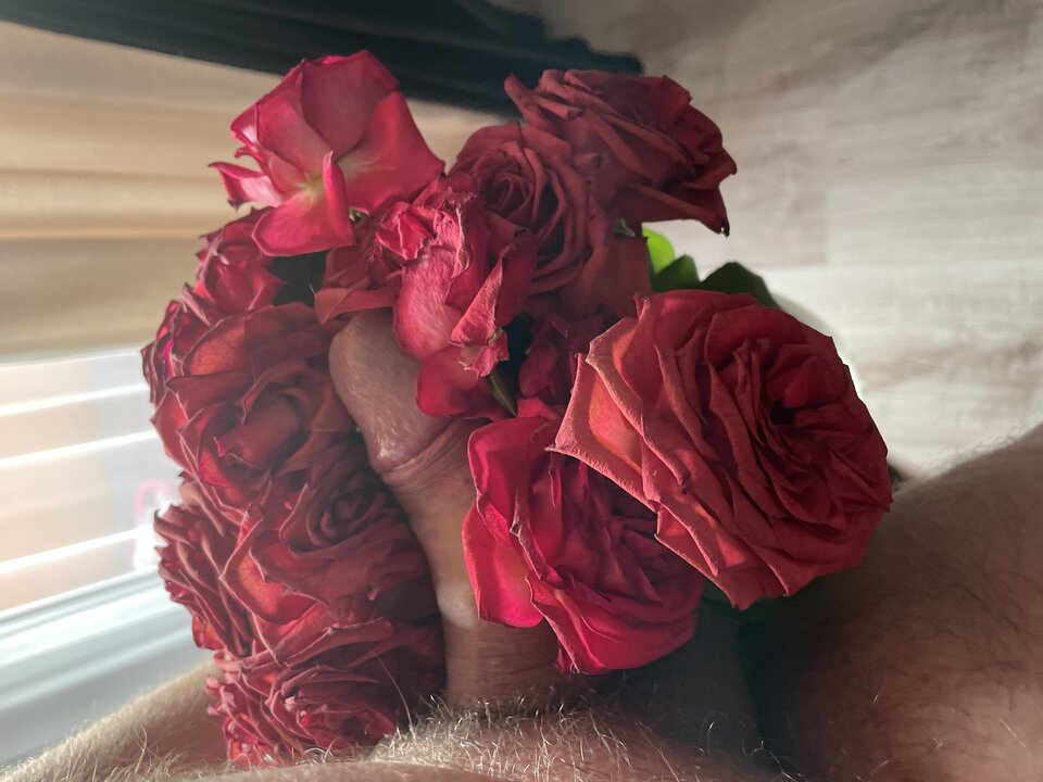 image.jpg - Polizany