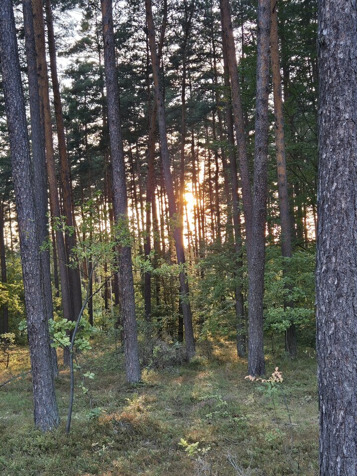 1000007165.jpg - ZwyklyMen80