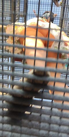 Najlepsza wieża widokowa