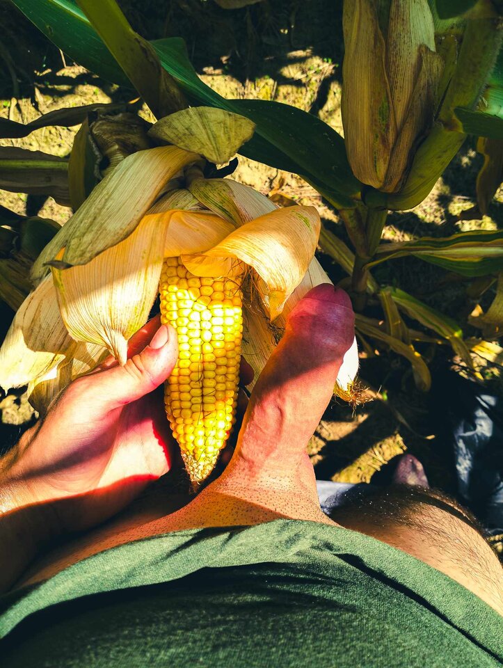 Messenger_creation_F3DB67DA-D32E-4584-B245-2B05F4D73B45.jpeg - Napaleni990