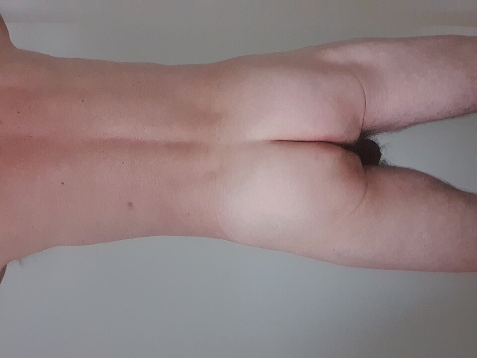 20240826_073601.jpg - alewil