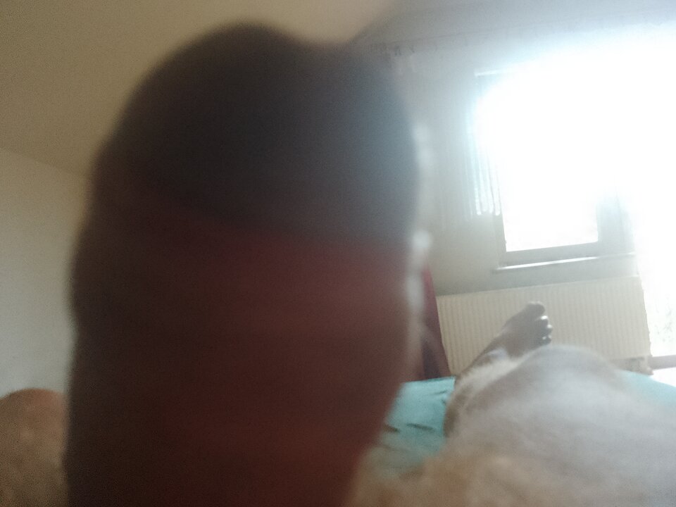 IMG_20240821_071037_985.jpg - melek76