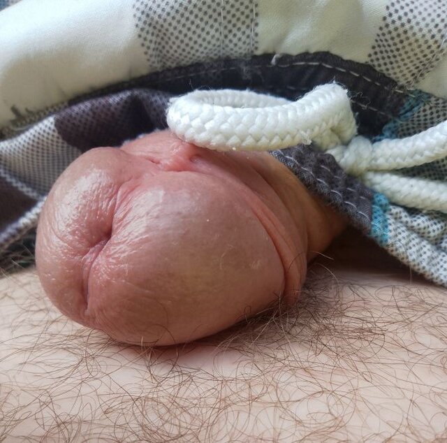 IMG_20240826_111330.jpg - Sexter0