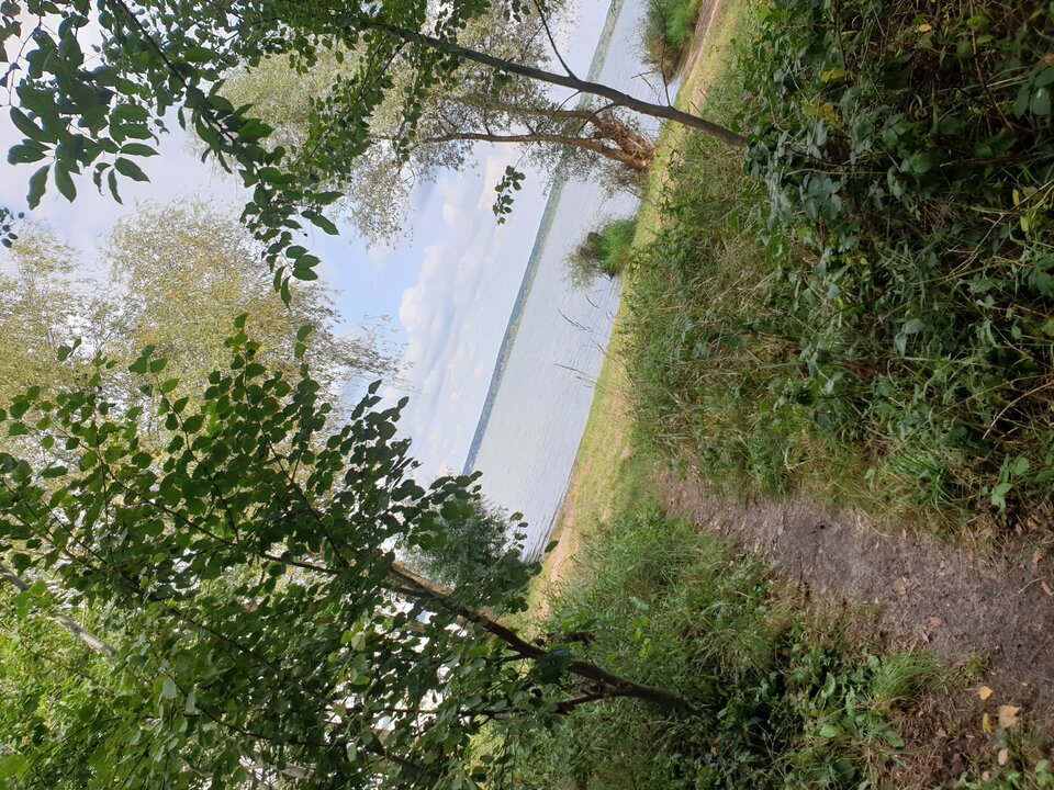 17246677434325303179124549410608.jpg - HTC77