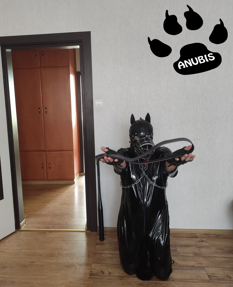 IMG_20240809_143750.jpg - Anubis86PL